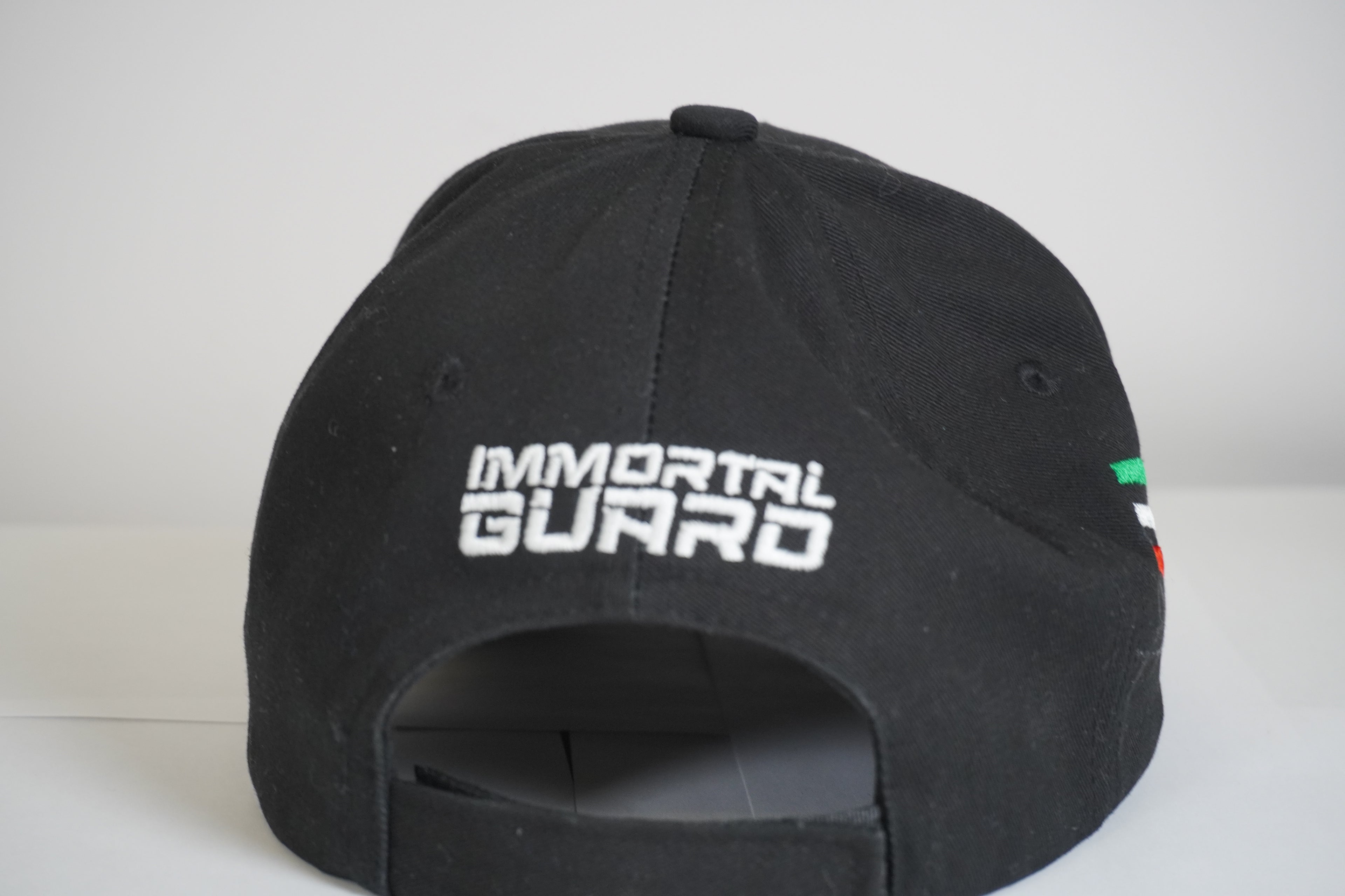 Immortal Guard Lion & Sun Cap — Premium Embroidery Edition