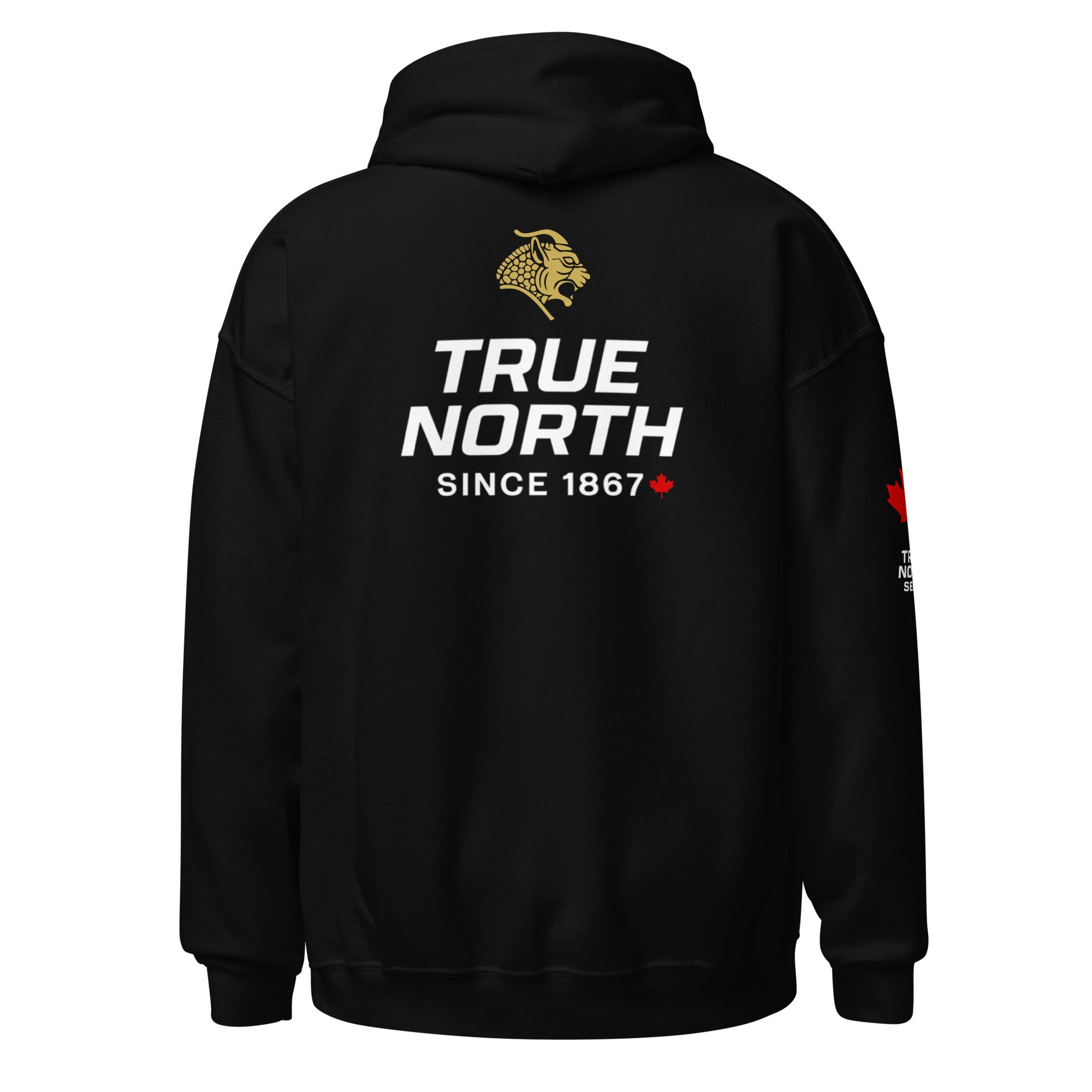 Jiu-Jitsu Ranked True North Series — Men's Hoodie