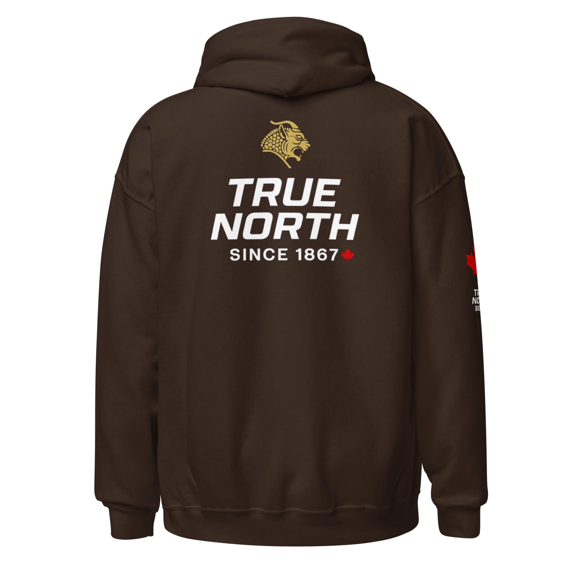 Jiu-Jitsu Ranked True North Series — Men's Hoodie
