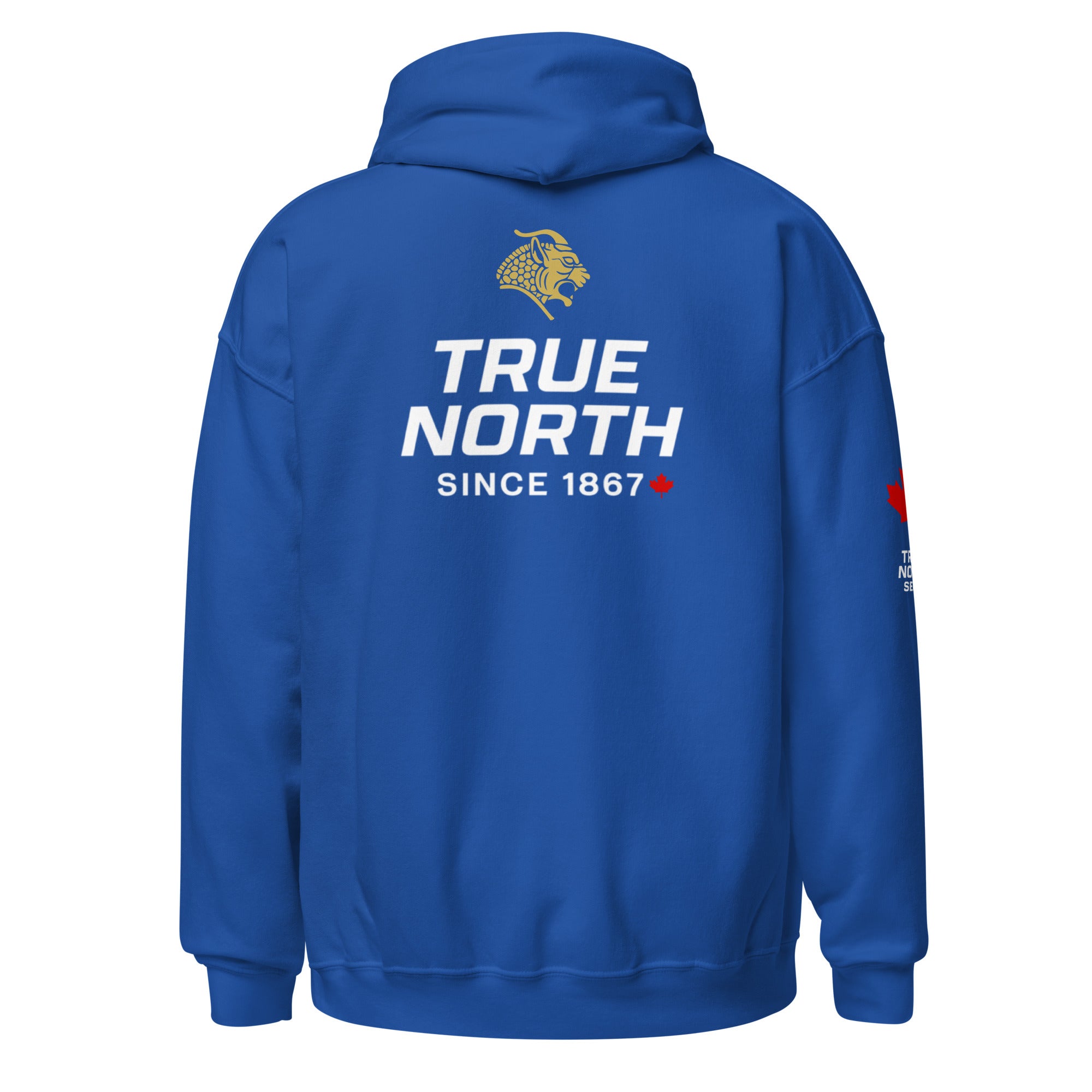 Jiu-Jitsu Ranked True North Series — Men's Hoodie