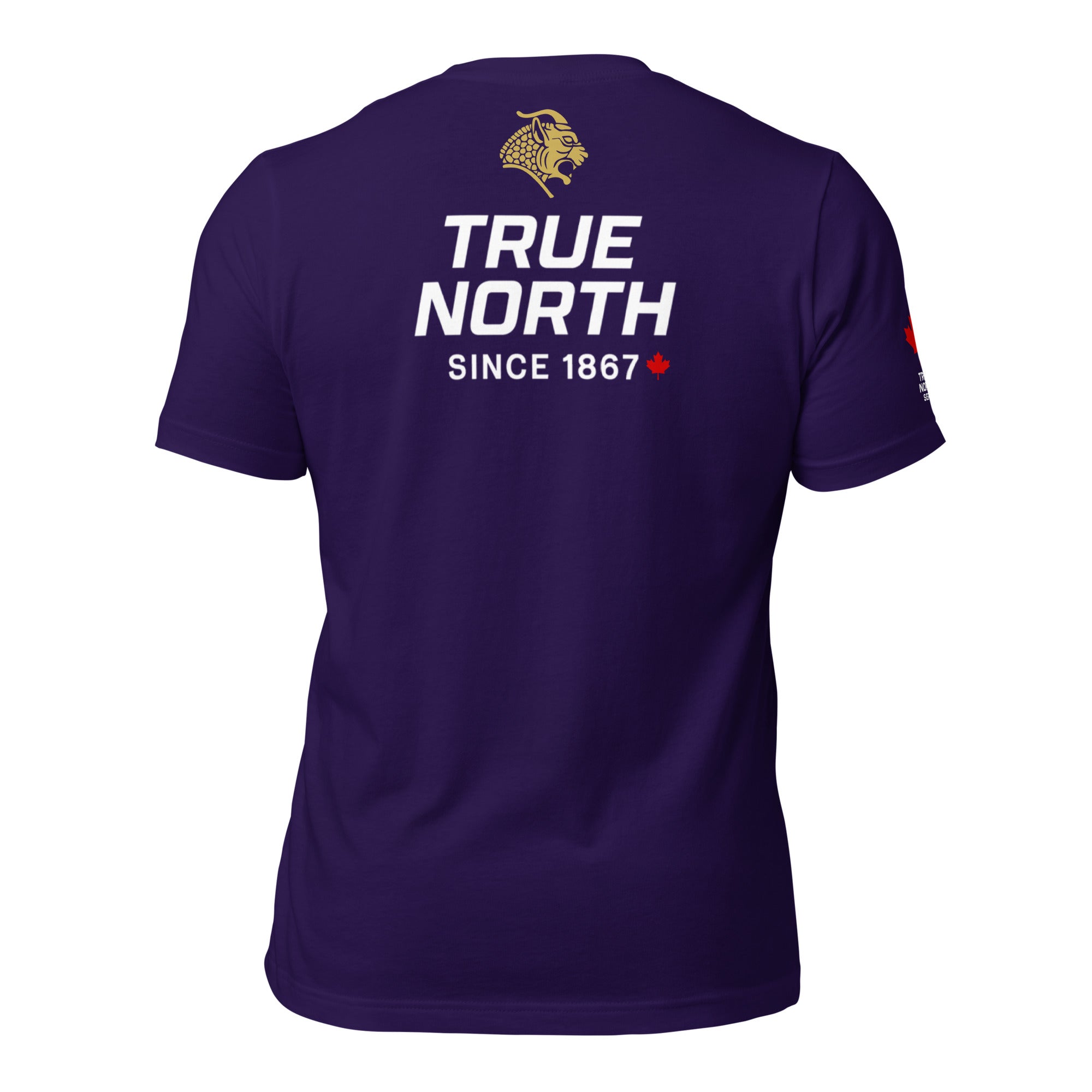 Jiu-Jitsu Ranked True North Series — Men's T-Shirt