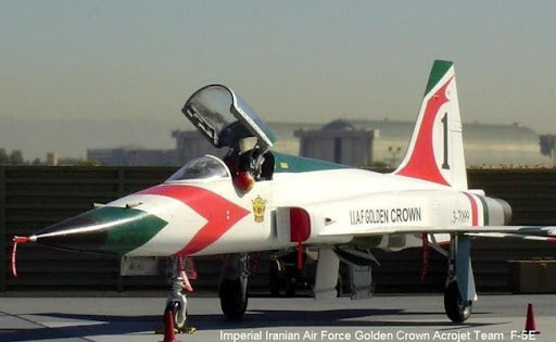 Golden Crown Imperial Iranian Air Force — Immortal Guard Tribute Hoodie